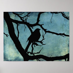 Póster Grackle 2