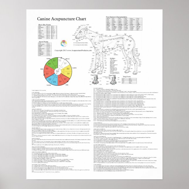 Póster Gráfica de acupuntura de la acupuntura del perro (Frente)