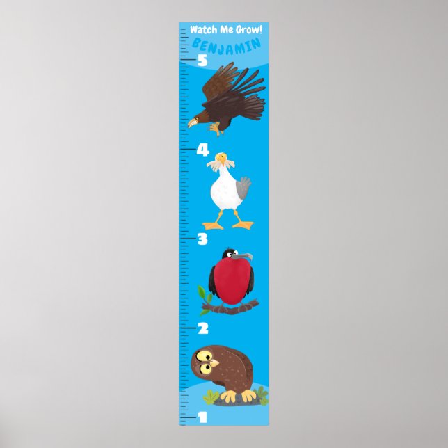Póster Gráfica de crecimiento de pájaros graciosos (Frente)