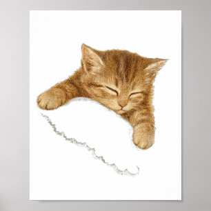 Póster Gráfica de gato dormido, camiseta vintage de amant
