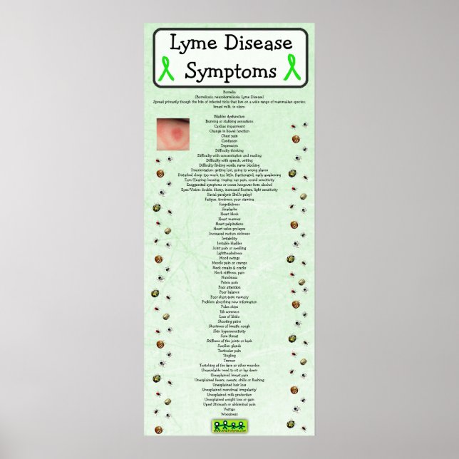 Póster Gráfica de síntomas de la enfermedad de Lyme Poste (Frente)