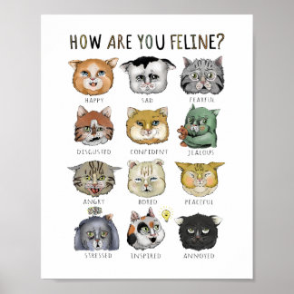 Póster Gráfica divertida de la sensación del gato ¿Cómo e
