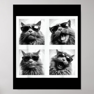 Póster Gráfica divertida foto de gatos Selfie Gracioso _1