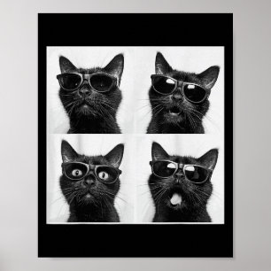 Póster Gráfica divertida foto de gatos Selfie Gracioso _5
