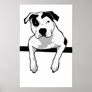Póster Gráfica T-Bone de Pit Bull