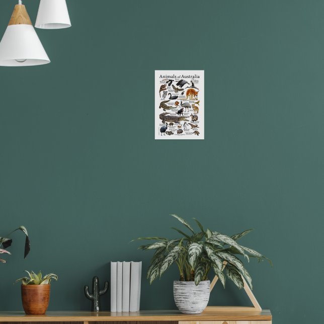 Póster Gráfico animado de Australia (Salón 1)