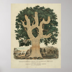 Póster Gráfico cronológico de la historia norteamericana 