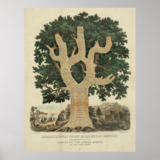 Póster Gráfico cronológico de la historia norteamericana 