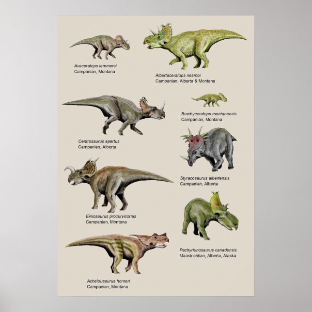 Póster Gráfico de antecedentes de dinosaurios (Frente)