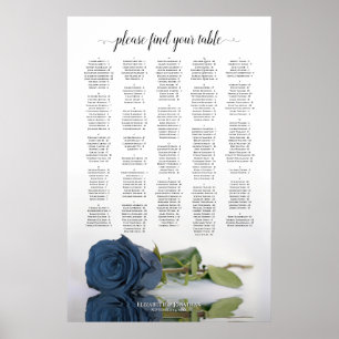 Póster Gráfico de asientos alfabéticos Rosa azul de acero