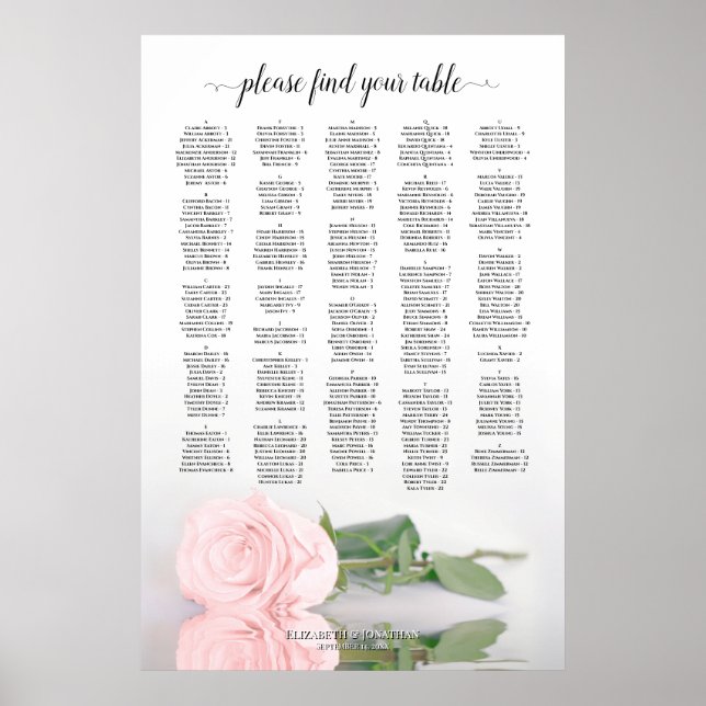 Póster Gráfico de asientos de Boda alpino rosa rosa de Ru (Frente)
