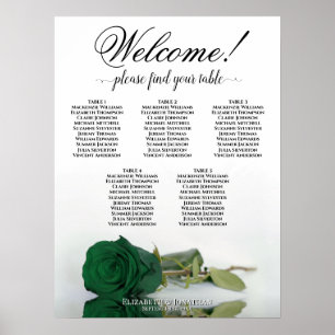 Póster Gráfico de Asientos de Boda de 5 Mesas Rosa Verde