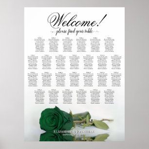 Póster Gráfico de Asientos de Boda de Mesa 26 Rosa Verde