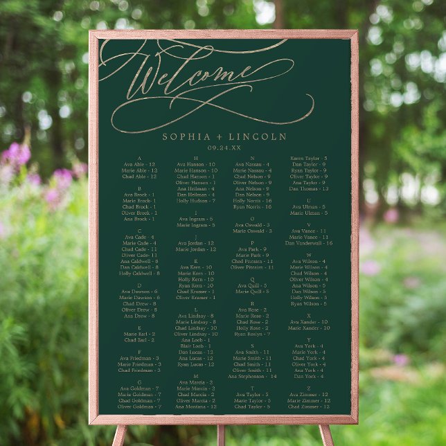 Póster Gráfico de asientos de caligrafía verde romántica (Subido por el creador)