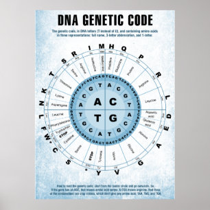 Póster Gráfico de código genético de ADN