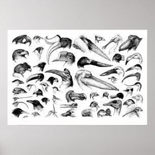 Póster Gráfico de facturas