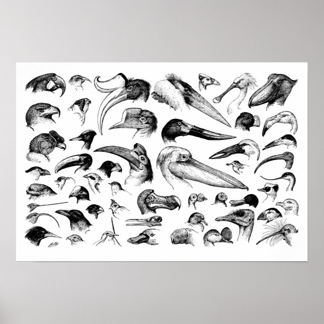 Póster Gráfico de facturas (Frente)