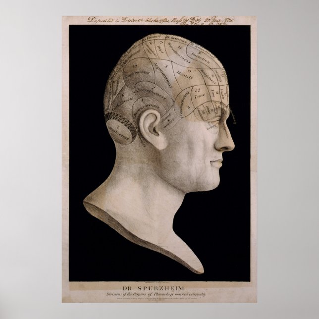 Póster Gráfico de frenología del Dr. Spurzheim (Frente)