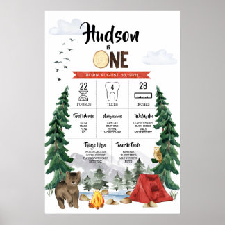 Póster Gráfico de hitos de primer cumpleaños de un Camper
