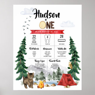 Póster Gráfico de hitos de primer cumpleaños de un Camper