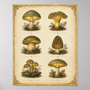 Póster Gráfico de Hongos Vintage Resplandeciente Botánico