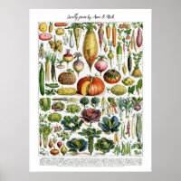 Gráfico de hortalizas de cosecha local