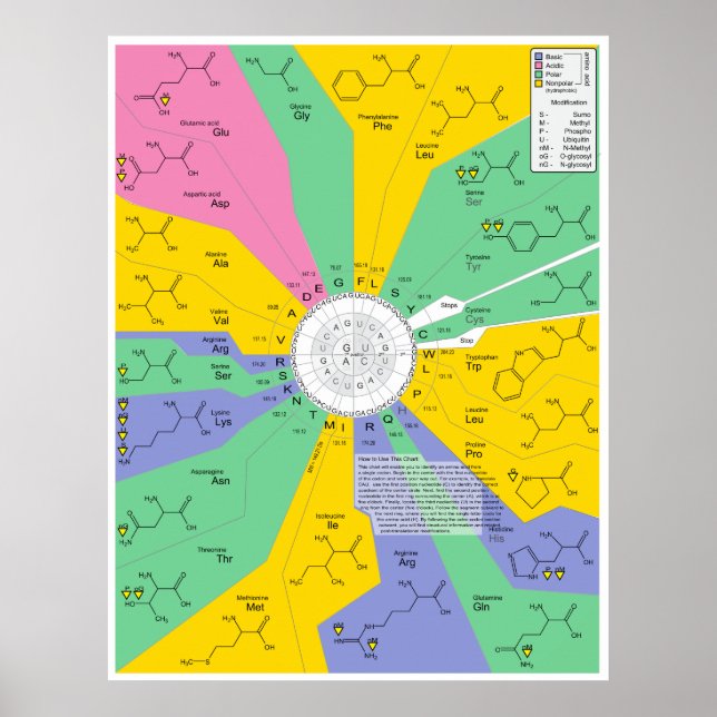 Póster Gráfico de identificación de Molécula química de á (Frente)