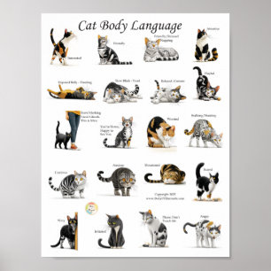 Póster Gráfico de lenguaje corporal de gatos