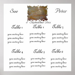 PÓSTER GRÁFICO DE LOS ASIENTOS DEL SITIO DE ORO