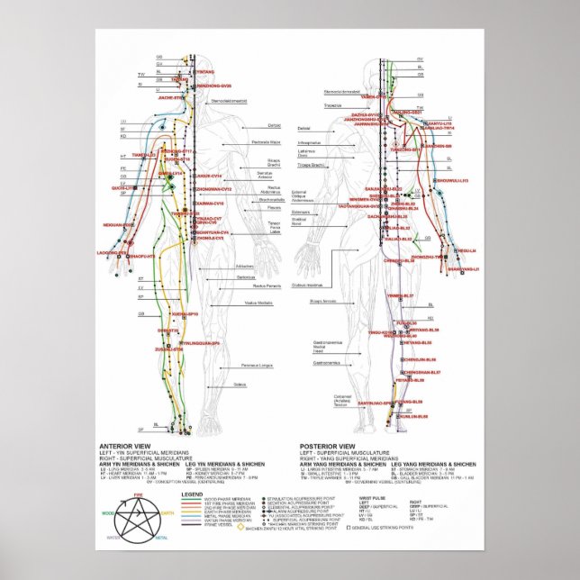 Póster Gráfico de meridianos humanos (Frente)