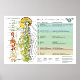 Póster Gráfico de Nervios Espinales de Subluxación France