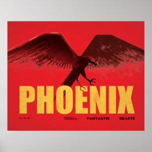 Póster Gráfico de Phoenix Vingate