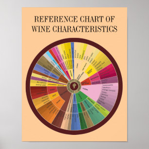 PÓSTER GRÁFICO DE REFERENCIA DE LAS CARACTERÍSTICAS DEL V