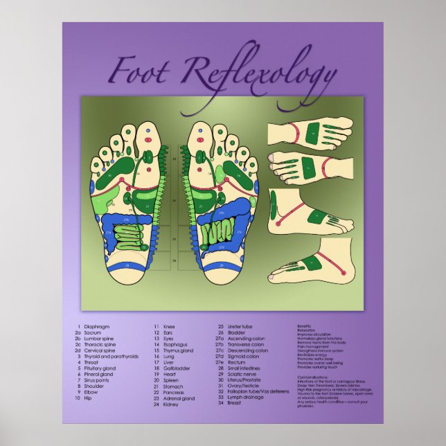 Póster Gráfico de reflexología de los pies (Frente)