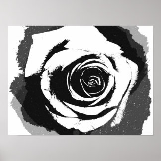 Póster Gráfico de rosa blanco y negro