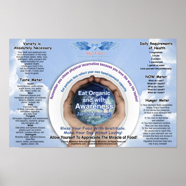 Póster Gráfico de sensibilización sobre los alimentos (Frente)