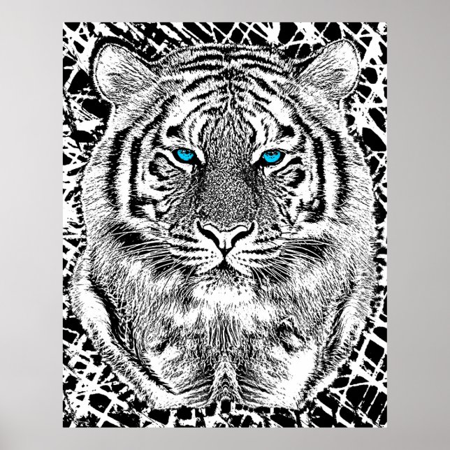 Póster Gráfico De Tigres De Ojos Azules Negros Y Blancos (Frente)
