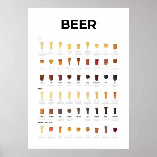 Póster Gráfico de tipos de cerveza (Frente)