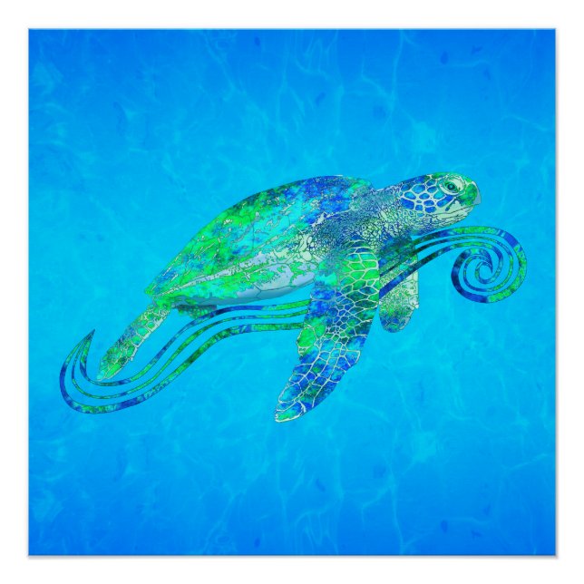 Póster Gráfico de tortuga marina (Anverso)