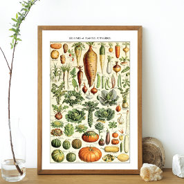 Póster Gráfico de verduras venenosas Adolphe Millot