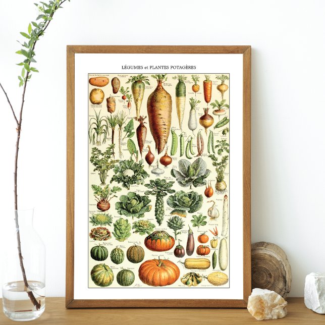 Póster Gráfico de verduras venenosas Adolphe Millot (Subido por el creador)