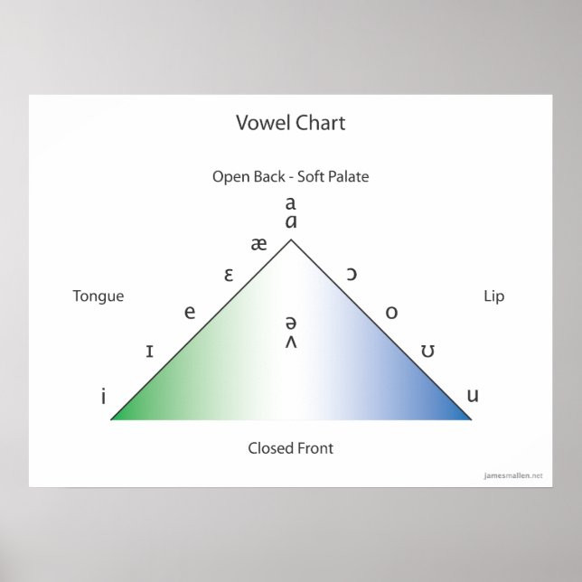 Póster gráfico de vocales de IPA (Frente)