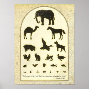 Póster Gráfico ocular animal ~ Cita Leonardo da Vinci