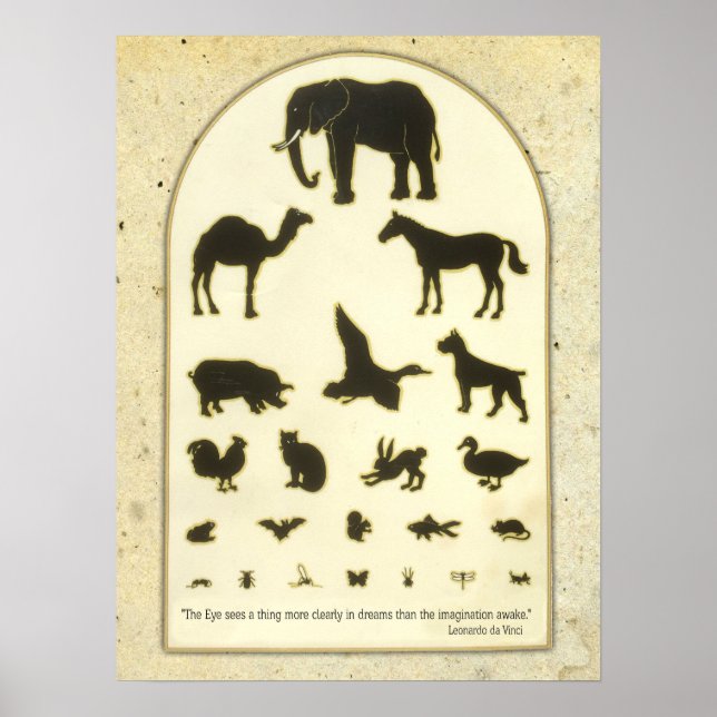 Póster Gráfico ocular animal ~ Cita Leonardo da Vinci (Frente)