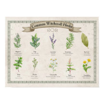 Gráfico personalizado de hierbas botánicas vintage