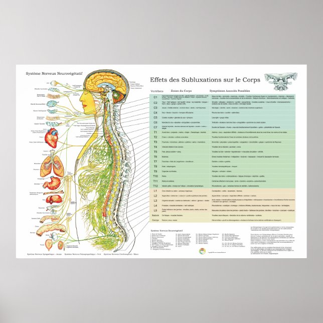 Póster Gráfico quiropráctico de efectos de subluxación de (Frente)
