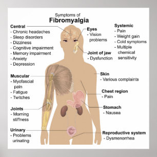 Póster Gráfico Rótulos frecuentes + Síntomas Poster de la