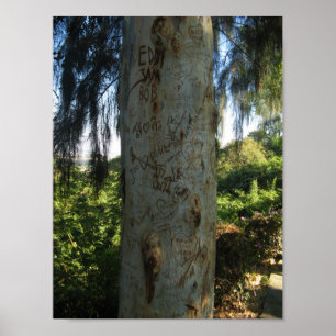 Póster Grafiti de árbol tailandés