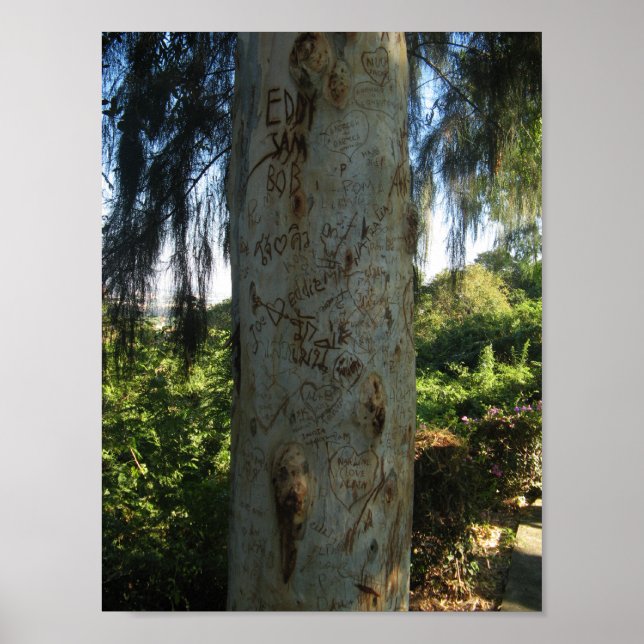 Póster Grafiti de árbol tailandés (Frente)