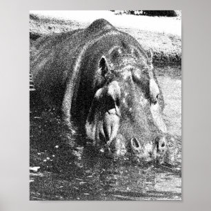 Póster Grainy Black White Hippo Art, Poster